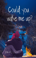 Could You Wake Me Up?