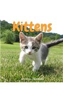 KITTENS 2018 Wall Calendar