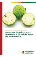 Moraceae Gaudich. (excl. Dorstenia e Ficus) da Serra da Mantiqueira