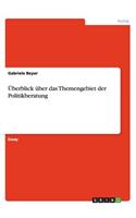 Überblick über das Themengebiet der Politikberatung