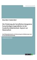 Förderung der beruflichen Integration benachteiligter Jugendlicher in der Sonderberufsfachschule. Exposé zur Masterarbeit