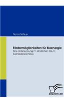 Fördermöglichkeiten für Bioenergie: Eine Untersuchung im ländlichen Raum Südniedersachsens