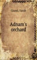 Adnam's orchard