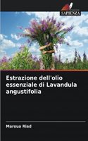 Estrazione dell'olio essenziale di Lavandula angustifolia