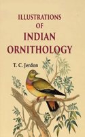 Illustrations of Indian ornithology In Colour Edition