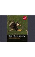 Bird Photography