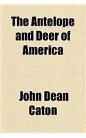 The Antelope and Deer of America