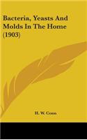 Bacteria, Yeasts And Molds In The Home (1903)