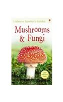 Mushrooms and Fungi