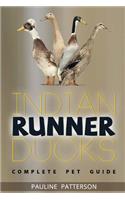 Indian Runner Ducks