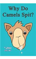 Why Do Camels Spit?