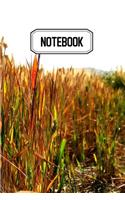 Notebook: Journal personnel, prise de notes, original & pratique de 110 pages lignées avec une couverture photo