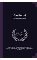 Giant Foxtail