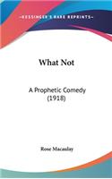 What Not: A Prophetic Comedy (1918)