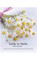 Guide To Herbs