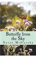 Butterfly from the Sky