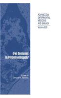Brain Development in Drosophila Melanogaster
