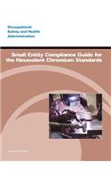 Small Entity Compliance Guide for the Hexavalent Chromium Standards