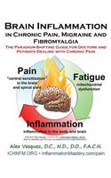 Brain Inflammation in Chronic Pain, Migraine and Fibromyalgia
