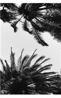 Peaceful Palm Trees Notebook