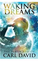 Waking Dreams: The Subtle Reality