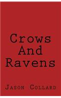 Crows and Ravens