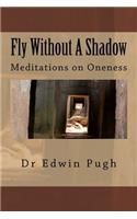 Fly Without A Shadow