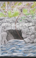 Invisible World