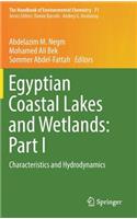 Egyptian Coastal Lakes and Wetlands: Part I