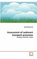 Assessment of sediment transport processes