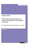 Funktionelle Charakterisierung von Calcineurin-Mutanten in Dictyostelium discoideum