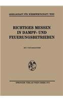 Richtiges Messen in Dampf- Und Feuerungsbetrieben