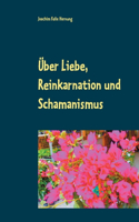 Über Liebe, Reinkarnation und Schamanismus: Eine Erzählung über die vergessene Welt hinter den sichtbaren Dingen