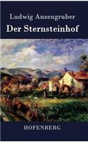 Sternsteinhof: Eine Dorfgeschichte