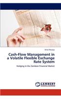 Cash-Flow Management in a Volatile Flexible Exchange Rate System