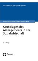 Grundlagen Des Managements in Der Sozialwirtschaft