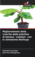 Miglioramento della crescita delle piantine di banano ´Lakatan´ con lo stimolante Bioforge