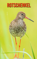 Rotschenkel: Sagenhafte Fotos & Buch mit lustigem Wissen über Rotschenkel für Kinder