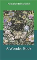A Wonder Book