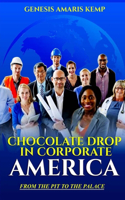 Chocolate Drop in Corporate America