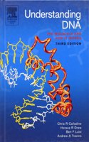 Understanding DNA