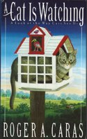 Cat is Watching