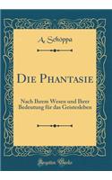 Die Phantasie: Nach Ihrem Wesen Und Ihrer Bedeutung Fï¿½r Das Geistesleben (Classic Reprint)