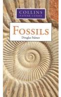 Hamlyn Guide: Fossils