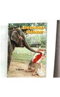 Comprehension Power Readers Elephant Painter Grade Four 2004c