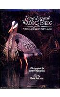 Long-legged Wading Birds of the North American Wetlands