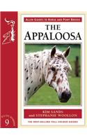 Appaloosa Horse