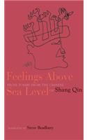 Feelings Above Sea Level