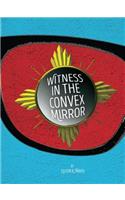 Witness in the Convex Mirror