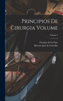 Principios de cirurgia Volume; Volume 2